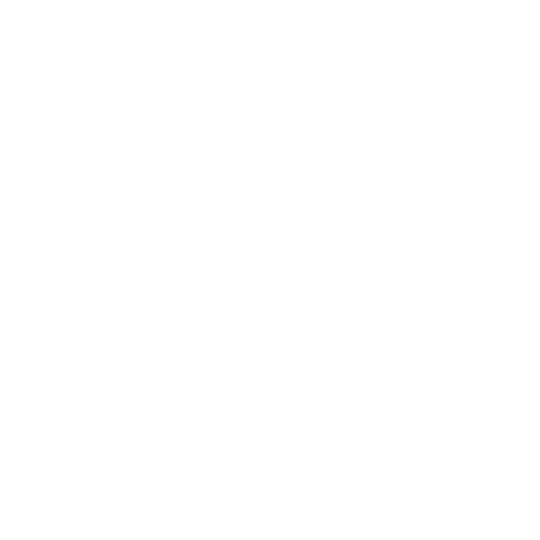 Zig Woo